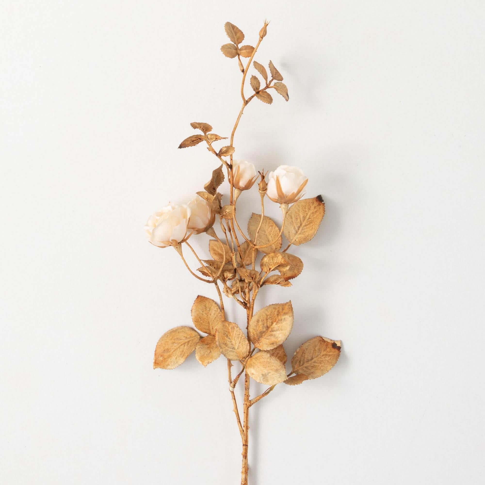 Cream Rose Spray